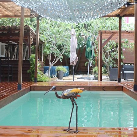 Les 2 Droles D'Oiseaux Bed & Breakfast Luc-sur-Orbieu Ngoại thất bức ảnh